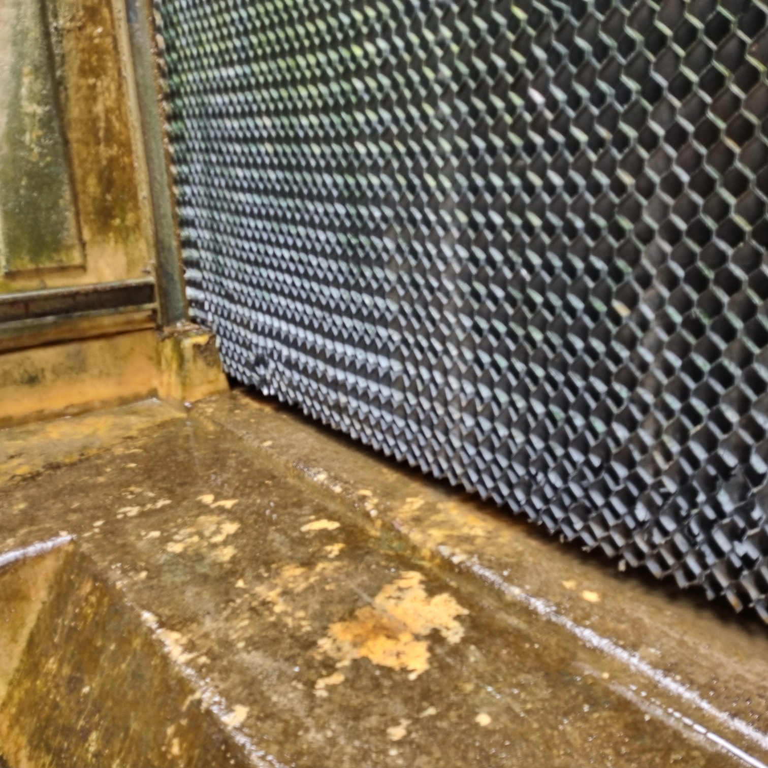 KakaoTalk_20240801_140407193_11 (1).jpg